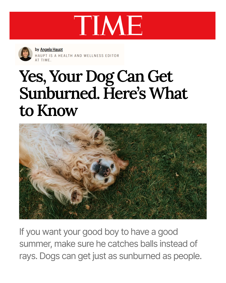 TIME magazine article "Yes, Your Dog Can Get Sunburned" featuring a Golden Retriever rolling on green grass in summer.